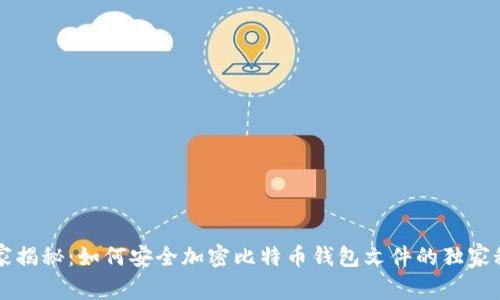 专家揭秘：如何安全加密比特币钱包文件的独家秘诀