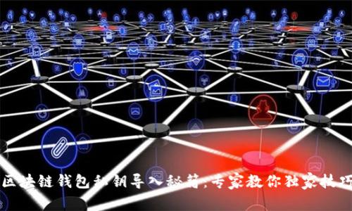 区块链钱包私钥导入秘籍：专家教你独家技巧