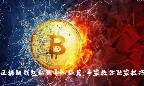 区块链钱包私钥导入秘籍：专家教你独家技巧