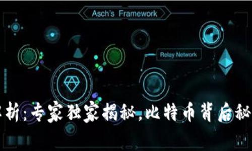比特币钱包签名解析：专家独家揭秘，比特币背后秘密与优质使用技巧