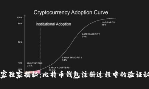 专家独家揭秘：比特币钱包注册过程中的验证秘诀