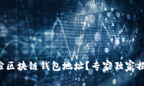 如何追踪区块链钱包地址？专家独家揭秘秘诀！