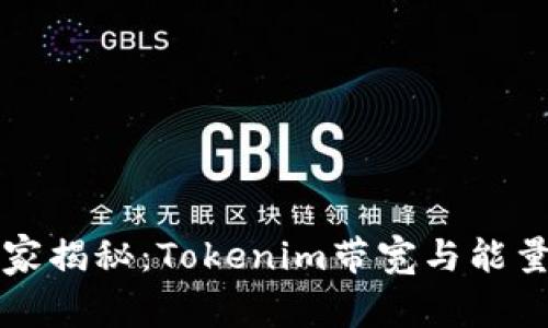 专家独家揭秘：Tokenim带宽与能量的秘诀