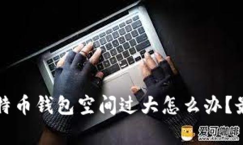 专家独家揭秘：比特币钱包空间过大怎么办？最有效的解决秘诀！