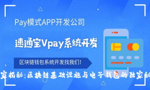 专家揭秘：区块链基础设施与电子钱包的独家秘诀