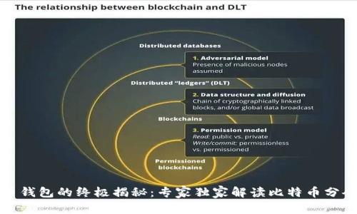 比特币钱包的终极揭秘：专家独家解读比特币分仓秘诀