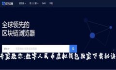 专家教你：数字人民币虚