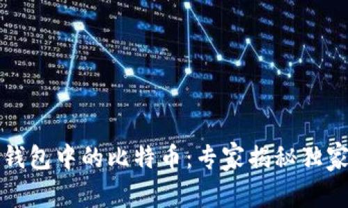 火币钱包中的比特币：专家揭秘独家秘诀