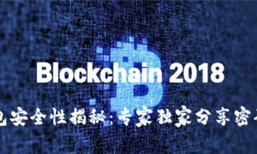 区块链钱包安全性揭秘：专家独家分享密码保护秘诀