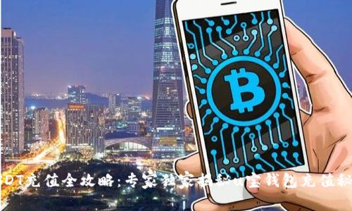 USDT充值全攻略：专家独家揭秘u宝钱包充值秘诀