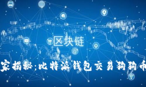 专家独家揭秘：比特派钱包交易狗狗币的秘诀