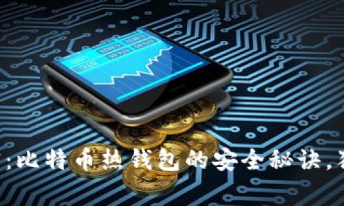 专家解密：比特币热钱包的安全秘诀，独家分析！