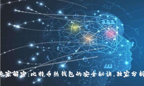 专家解密：比特币热钱包的安全秘诀，独家分析！