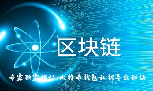 专家独家揭秘：比特币钱包私钥导出秘诀