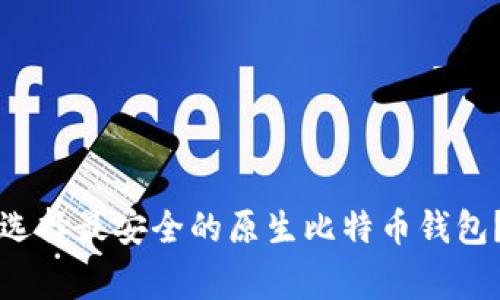 专家揭秘：如何选择最安全的原生比特币钱包？独家秘诀分享！