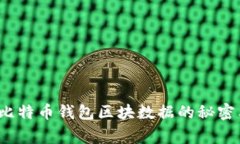 独家揭秘：比特币钱包区
