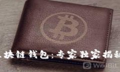 OmniUSDT区块链钱包：专家独家揭秘其使用秘诀