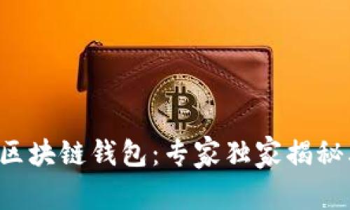 OmniUSDT区块链钱包：专家独家揭秘其使用秘诀