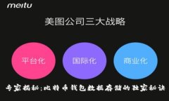 专家揭秘：比特币钱包数据存储的独家秘诀