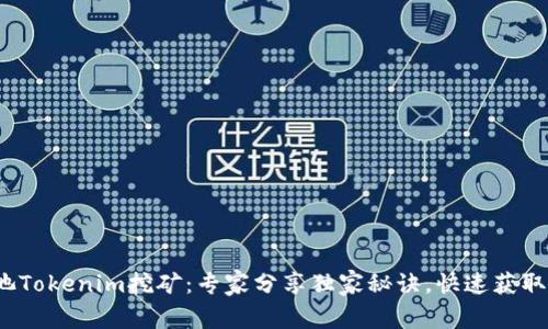 YFI池Tokenim挖矿：专家分享独家秘诀，快速获取收益