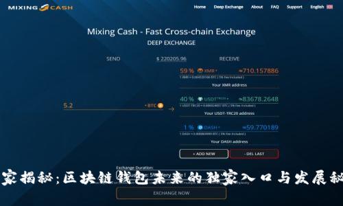 专家揭秘：区块链钱包未来的独家入口与发展秘诀