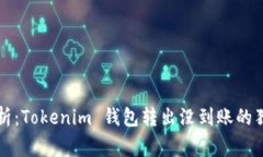 专家解析：Tokenim 钱包转出