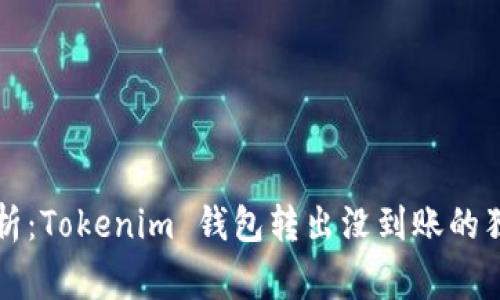专家解析：Tokenim 钱包转出没到账的独家秘诀