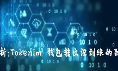 专家解析：Tokenim 钱包转出没到账的独家秘诀
