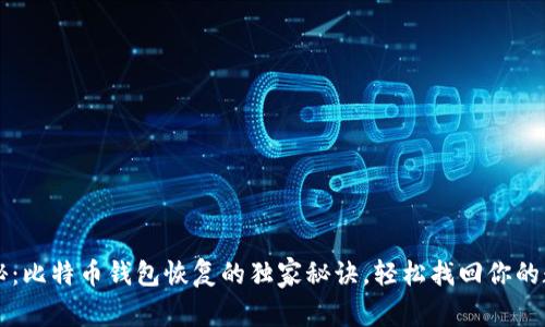 专家揭秘：比特币钱包恢复的独家秘诀，轻松找回你的数字资产