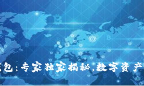 比特无限提币钱包：专家独家揭秘，数字资产安全管理的秘诀