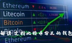 专家独家解读：支持比特