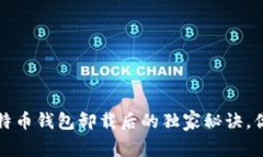 专家揭示：比特币钱包卸