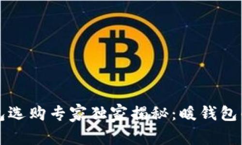 比特币钱包选购专家独家揭秘：暖钱包的终极秘诀