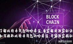 了解比特币钱包的哈希值