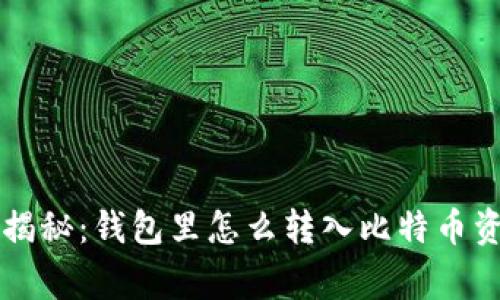 专家独家揭秘：钱包里怎么转入比特币资金的秘诀