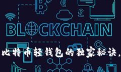 专家揭秘：使用比特币轻
