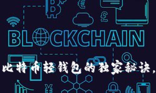 专家揭秘：使用比特币轻钱包的独家秘诀，如何防止被盗？