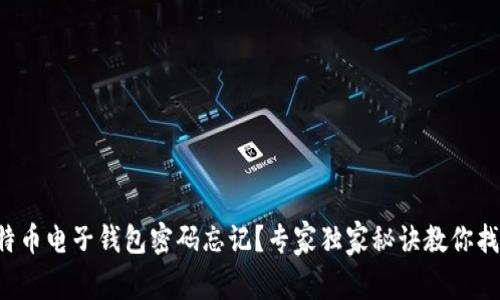 比特币电子钱包密码忘记？专家独家秘诀教你找回！