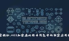 专家揭秘：AES加密在比特