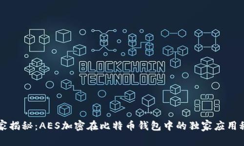 专家揭秘：AES加密在比特币钱包中的独家应用秘诀