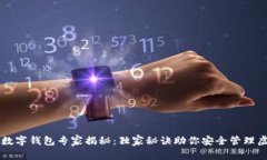 区块链数字钱包专家揭秘