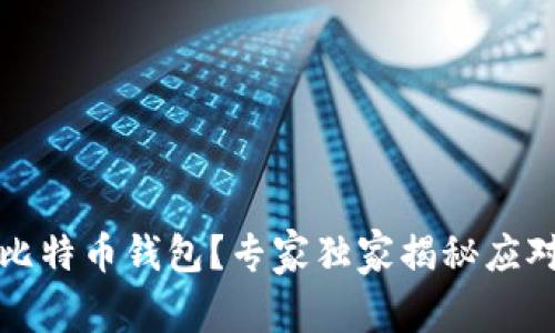 丢失比特币钱包？专家独家揭秘应对秘诀