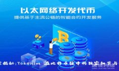 专家揭秘：Tokenim 在比特币