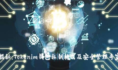 独家揭秘：Tokenim钱包私钥格式及安全管理专家秘诀