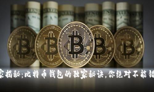 专家揭秘：比特币钱包的独家秘诀，你绝对不能错过！