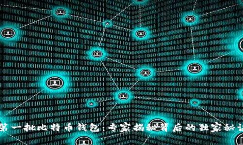 第一批比特币钱包：专家揭秘背后的独家秘诀