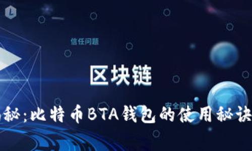 专家独家揭秘：比特币BTA钱包的使用秘诀与安全技巧