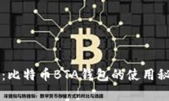 专家独家揭秘：比特币B