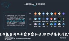 区块链钱包查询的专家独