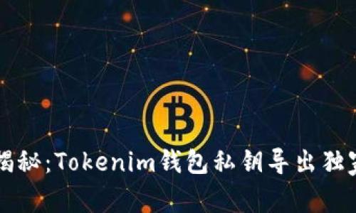 专家揭秘：Tokenim钱包私钥导出独家秘诀
